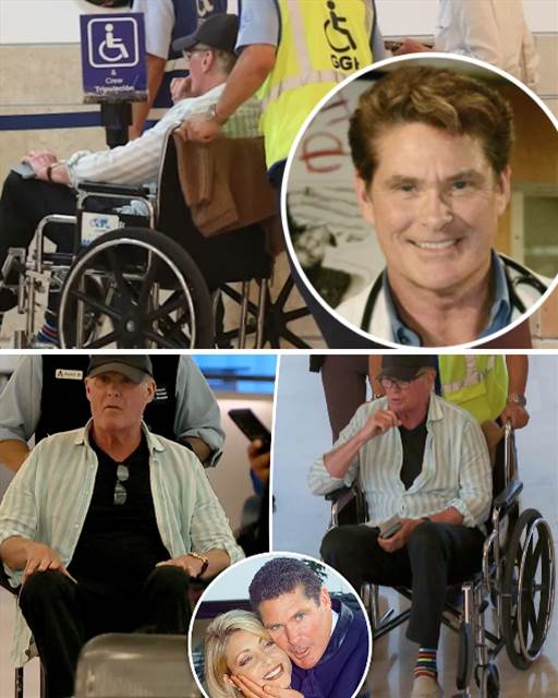 Devastating Loss Revealed: David Hasselhoff’s (Snapper Foster) Tragic Struggles Exposed After Ex-Wife’s Suicide 💔