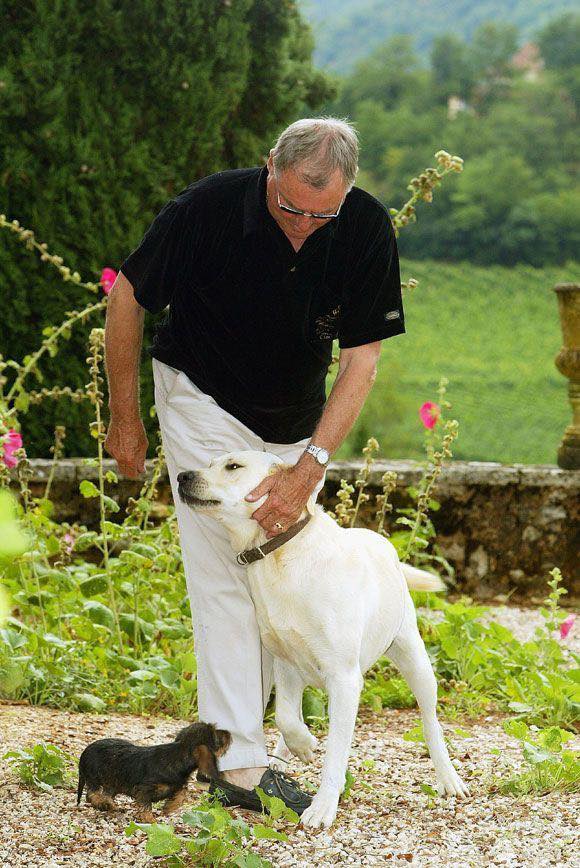 Kevin Costner Lends His Voice to Dog in ‘The Art of Racing in the Rain’ Trailer