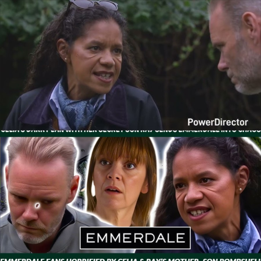 Celia is knocked unconscious in the women’s prison and whispers before passing out: “Ray isn’t my son… he’s their creation.” –