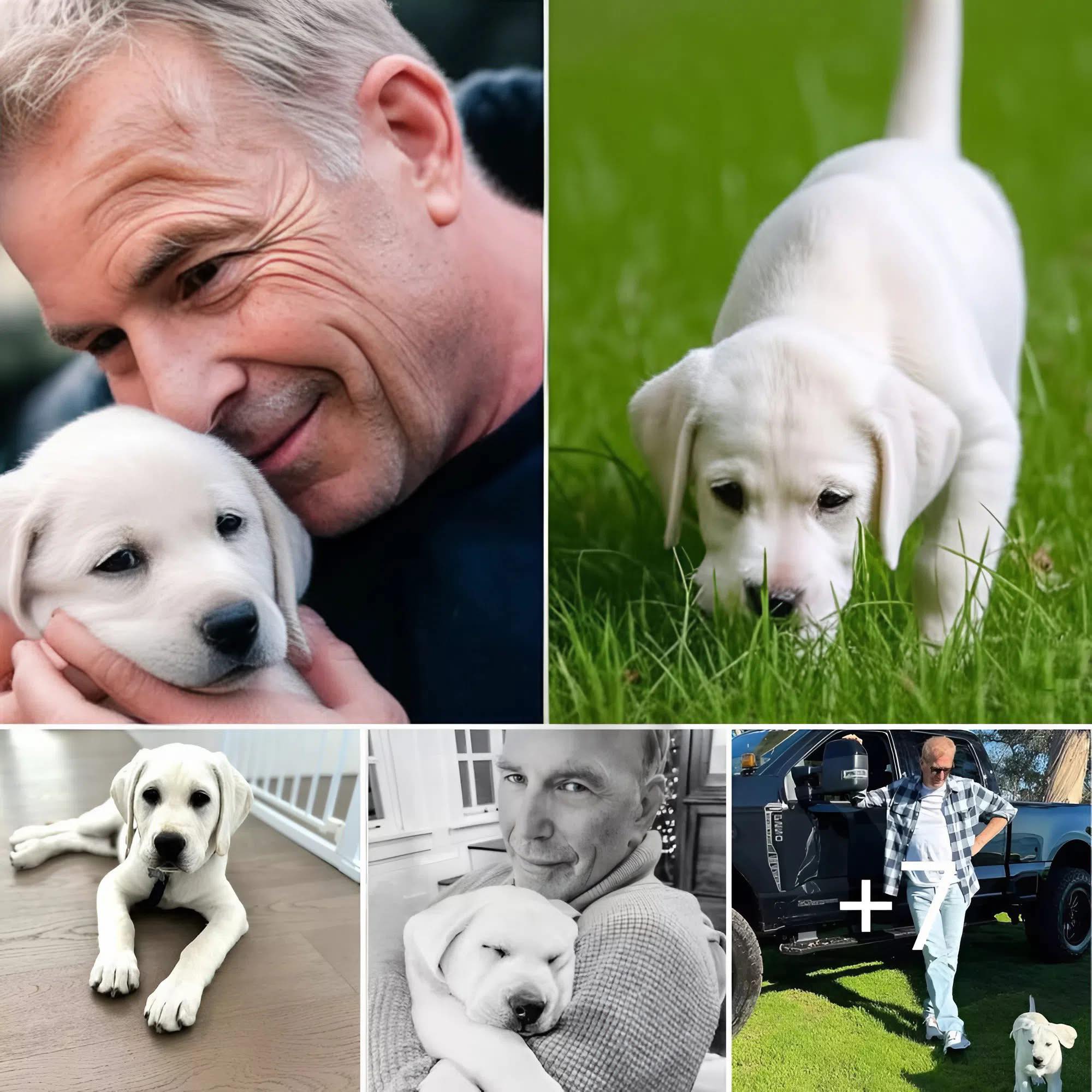 Kevin Costner Lends His Voice to Dog in ‘The Art of Racing in the Rain’ Trailer