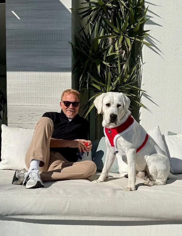 Kevin Costner Lends His Voice to Dog in ‘The Art of Racing in the Rain’ Trailer