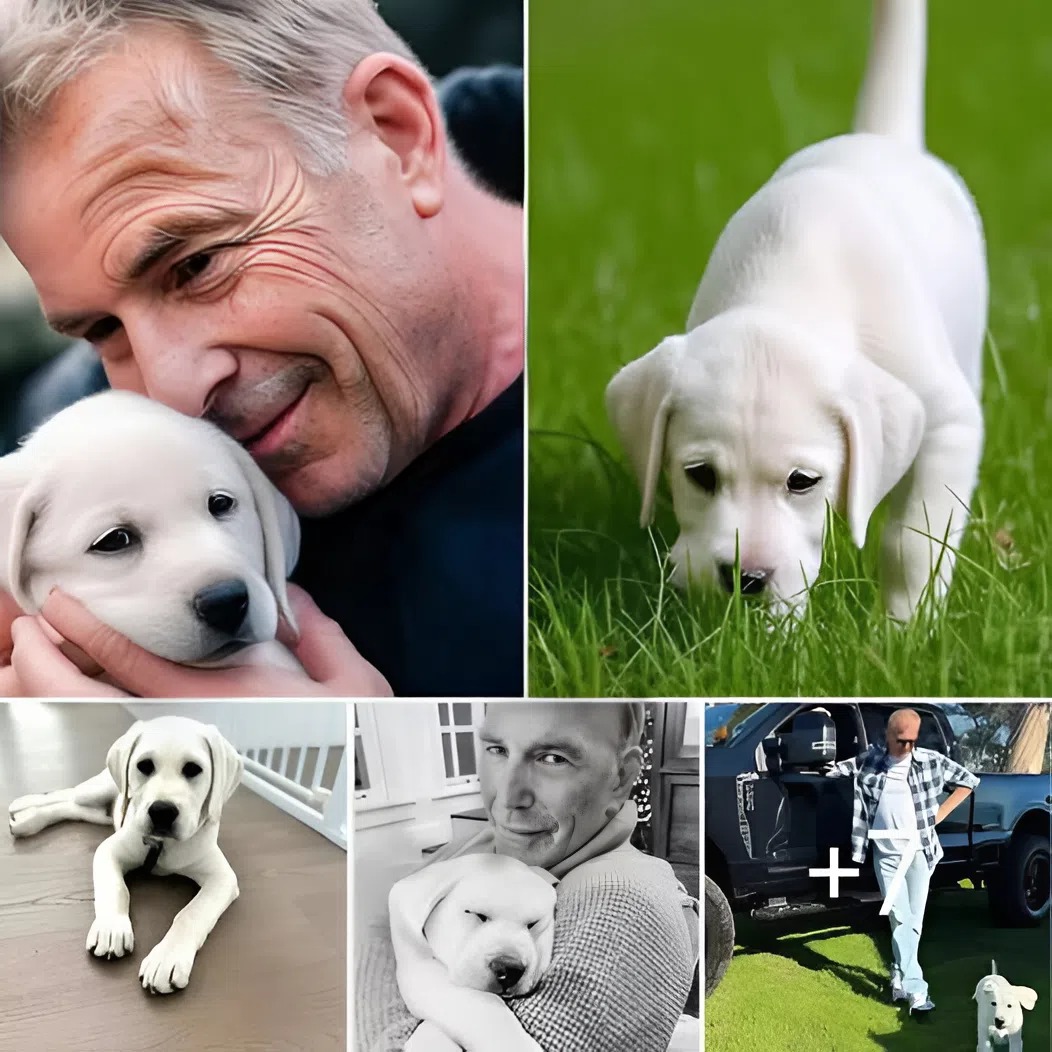 Kevin Costner Lends His Voice to Dog in ‘The Art of Racing in the Rain’ Trailer